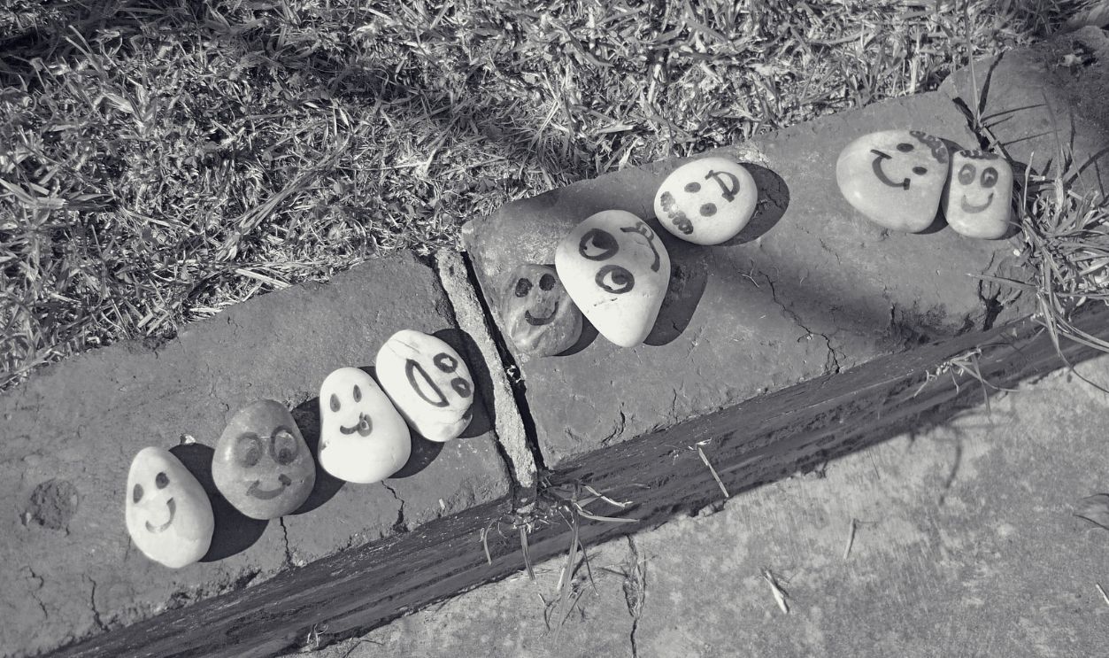 Pet rocks