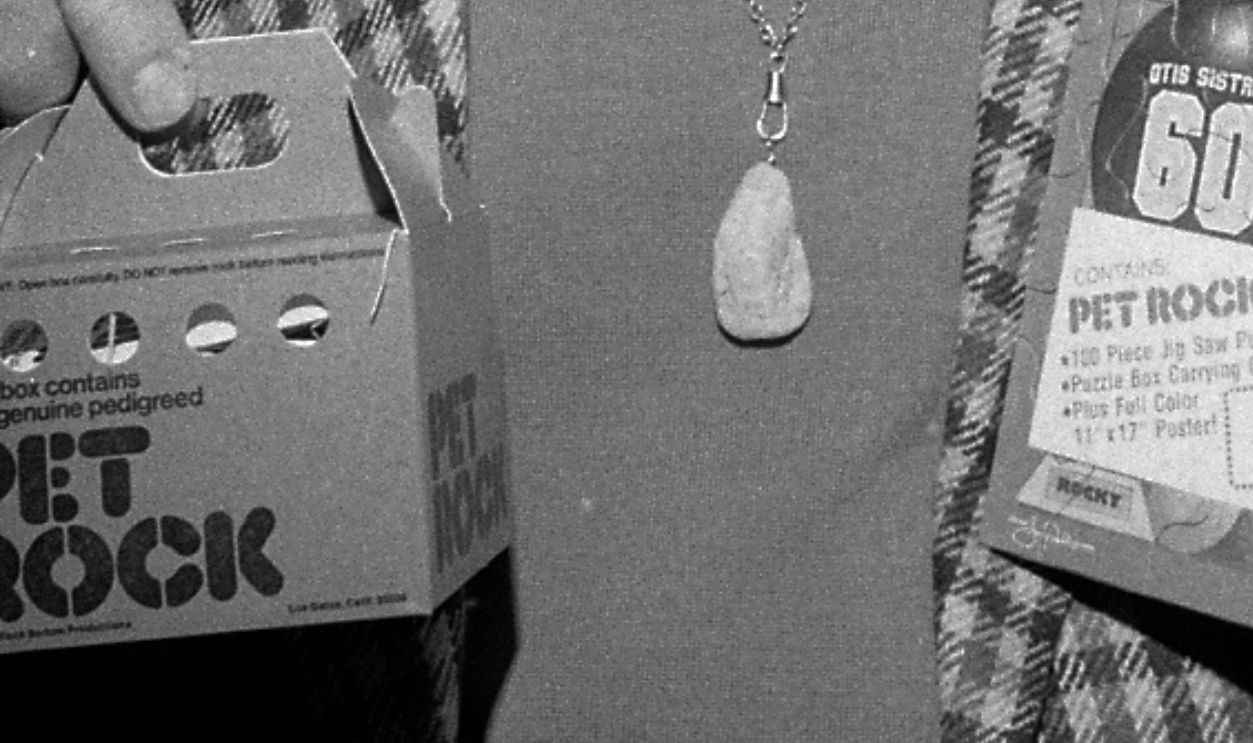 Gary Dahl, the inventor of Pet Rock Photos shot February 19, 1976