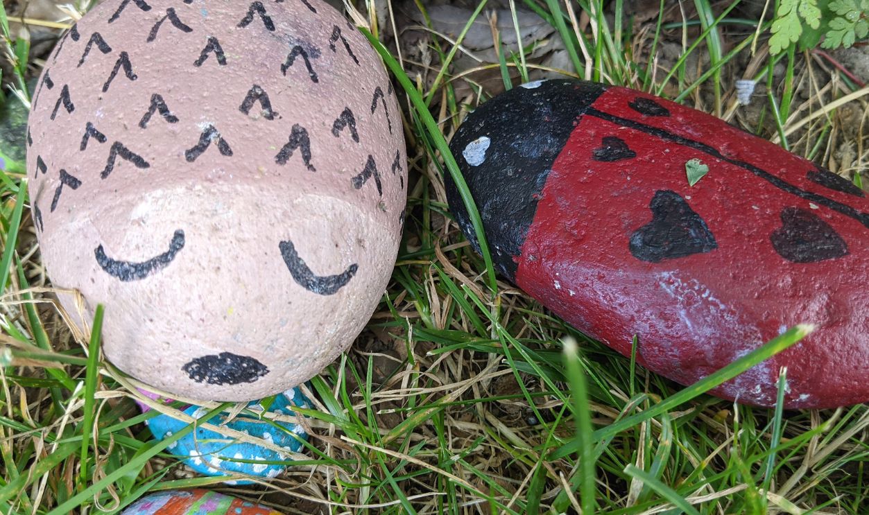 Pet Rock