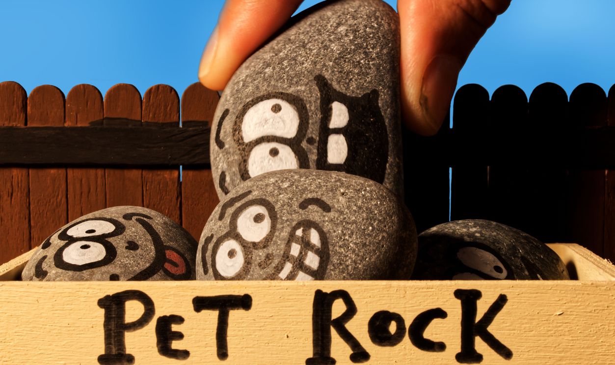 Amusing image of pet rocks in a wooden box, simulating adoption scene with painted faces.