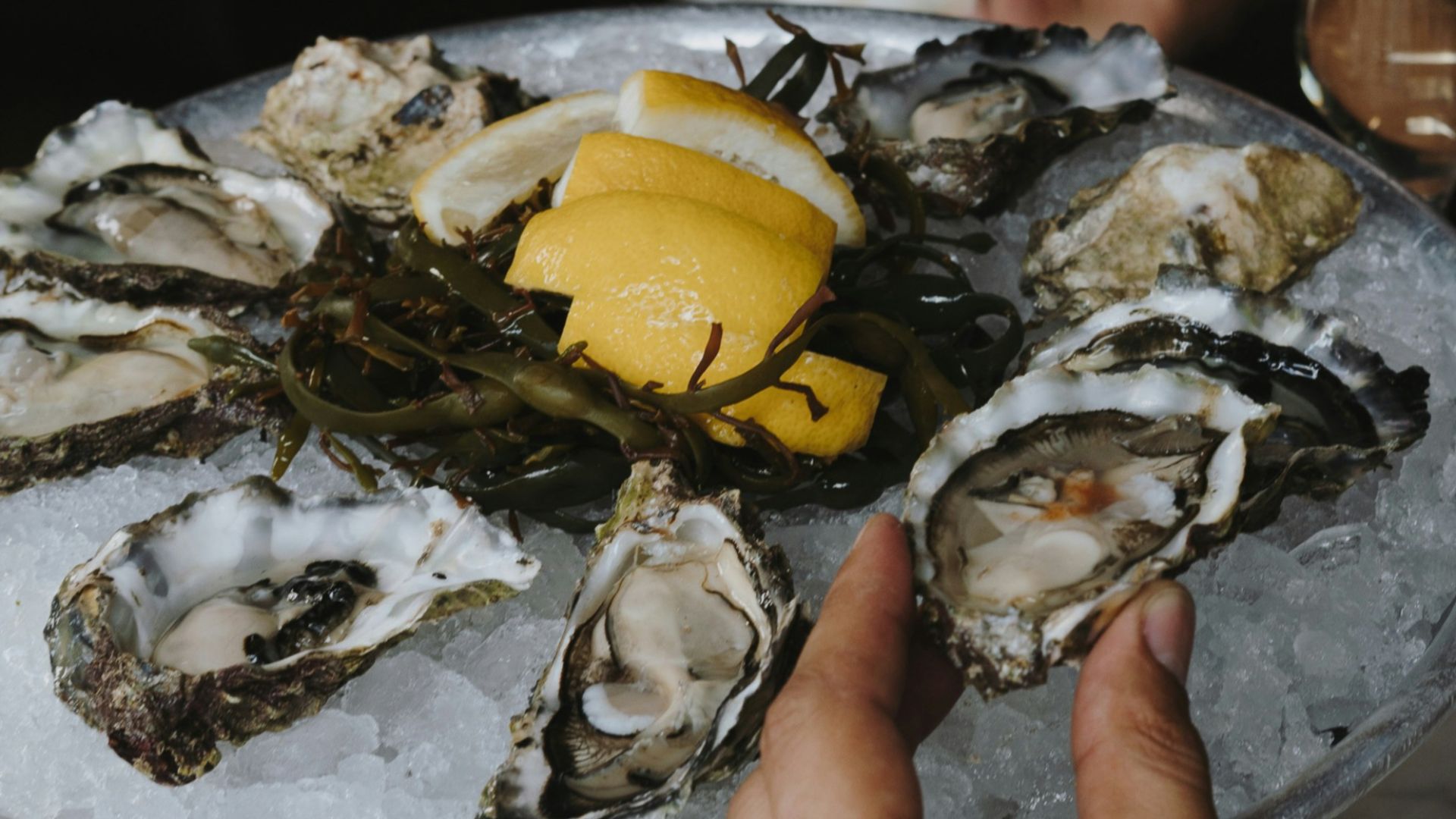 a person holding a plate of oysters with lemon wedges