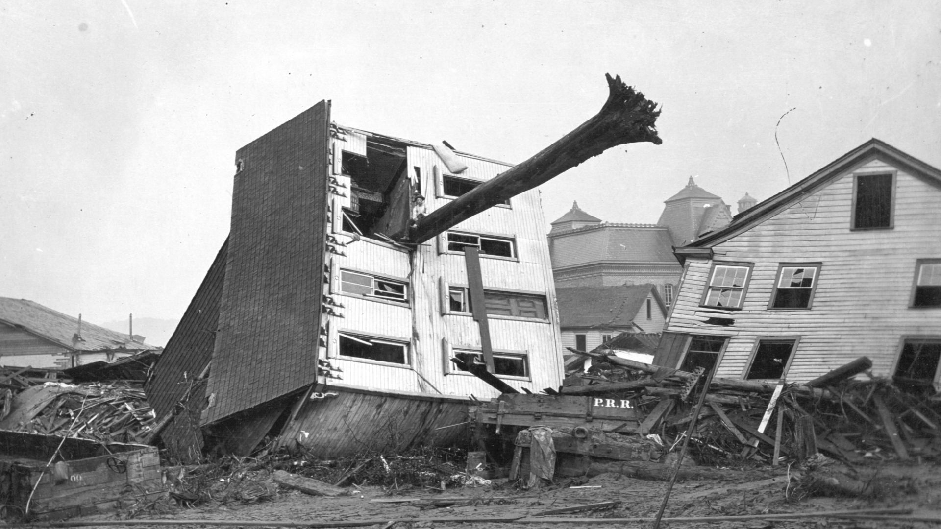A tree lodged in the Schultz house in the aftermath of the Johnstown Flood of 1889. Incredibly, all 6 people in the house survived.