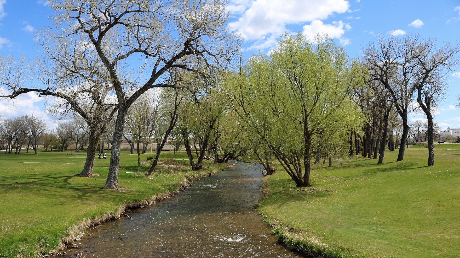 Rapid Creek in Rapid City, South Dakota. The view is in Founders Park, on the north side of Rapid City's downtown, and includes part of Executive Golf Course.