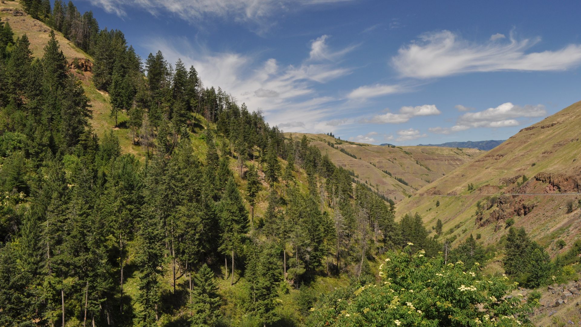 Along the Nez Perce National Historic Trail, on Oregon Hwy 3.  US Forest Service photo, by Roger Peterson