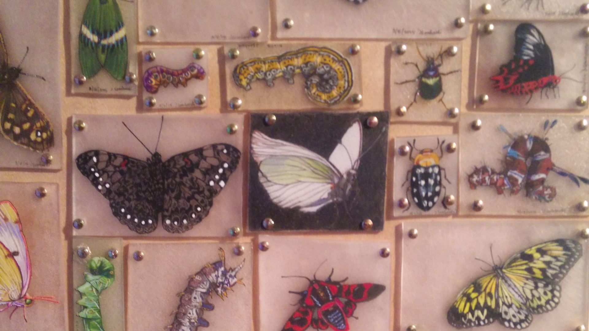 Shrinky Dinks butterflies on auction.
