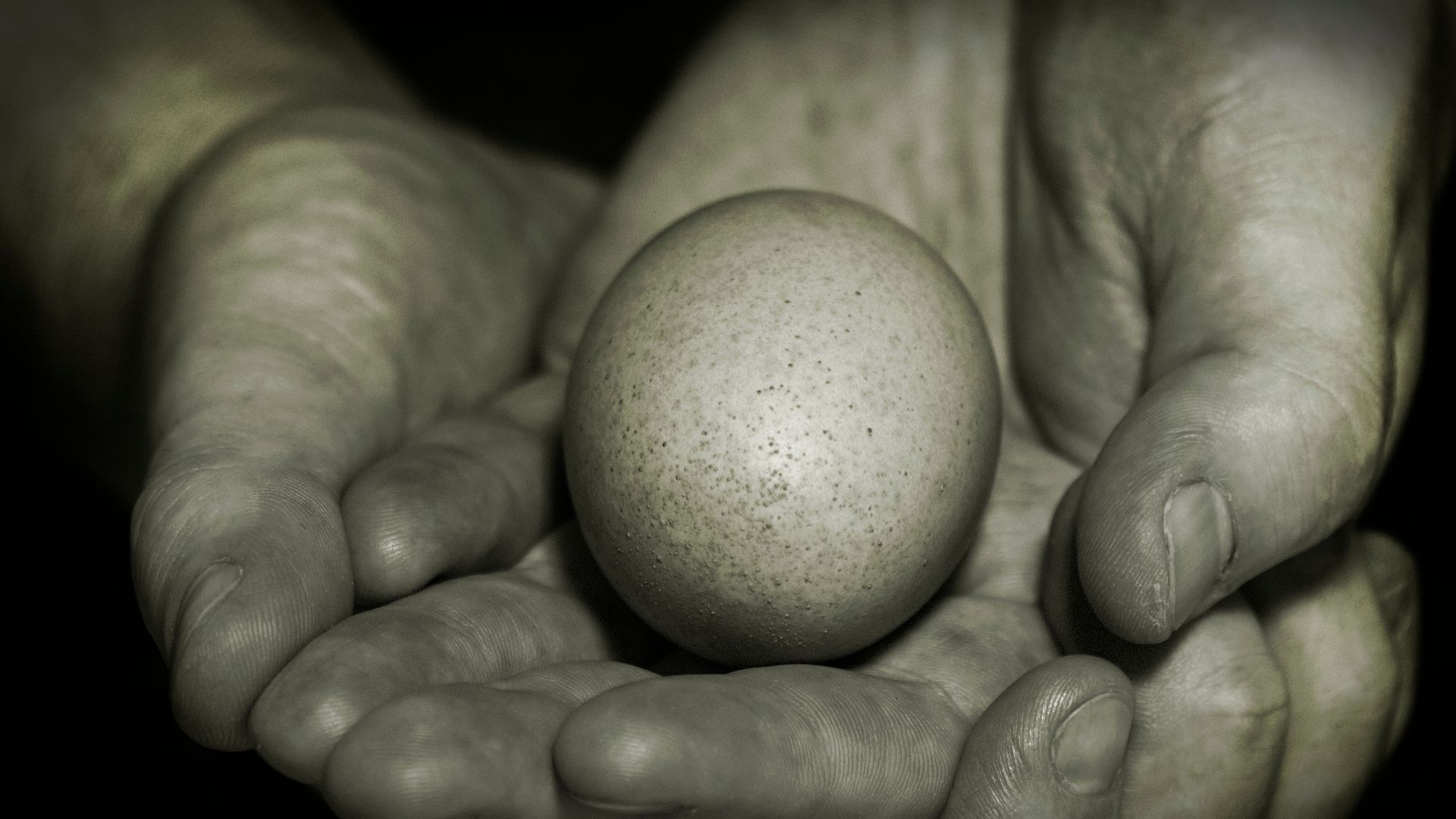 So this is my second entry for my photography club members evaluation night which is quickly approaching. The theme for this is one egg