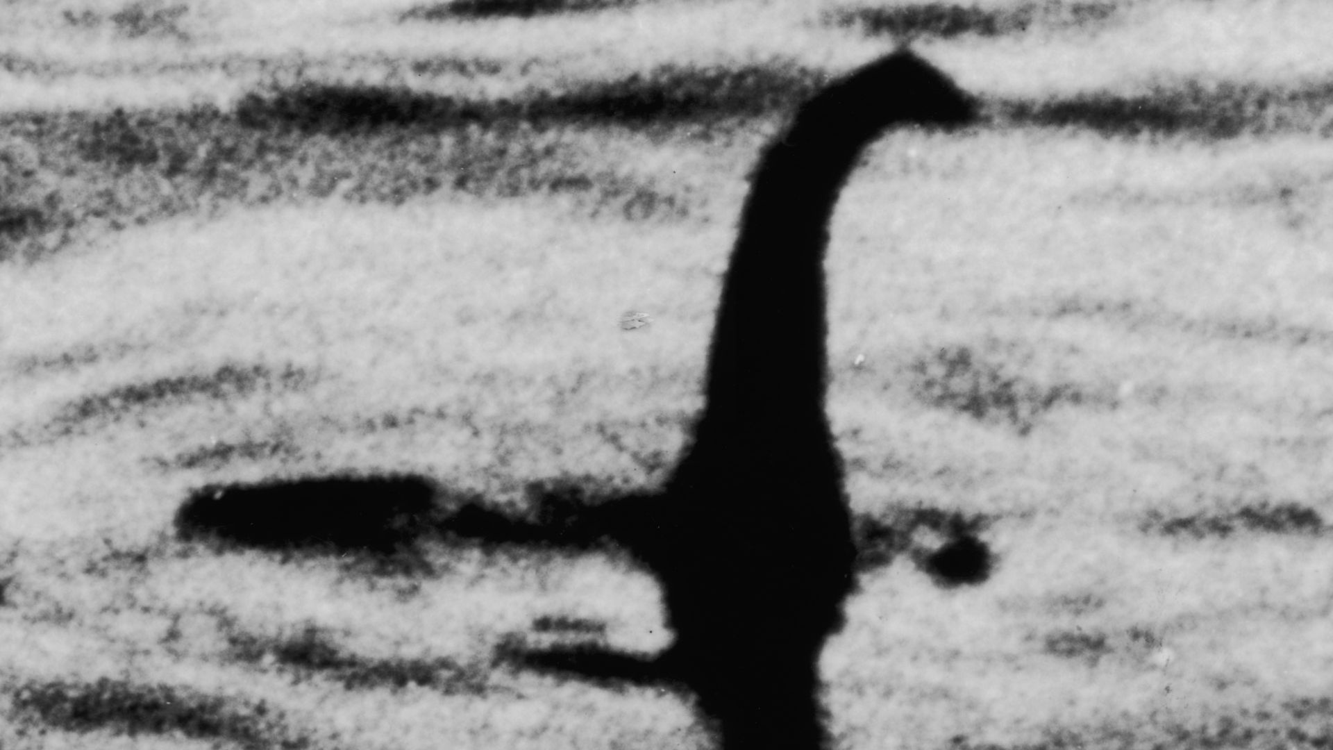 Original caption by Wide World Photos: This unretouched photograph, rushed here from London by radiograph, shows the famed Loch Ness monster as it was photographed by Dr. Robert Kenneth Wilson, noted surgeon of the London hospital when it appeared out of 