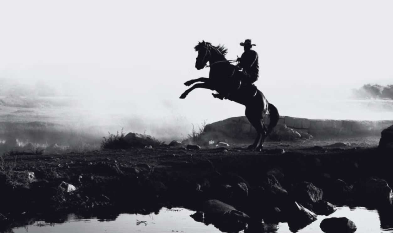 Cowboy silhouette