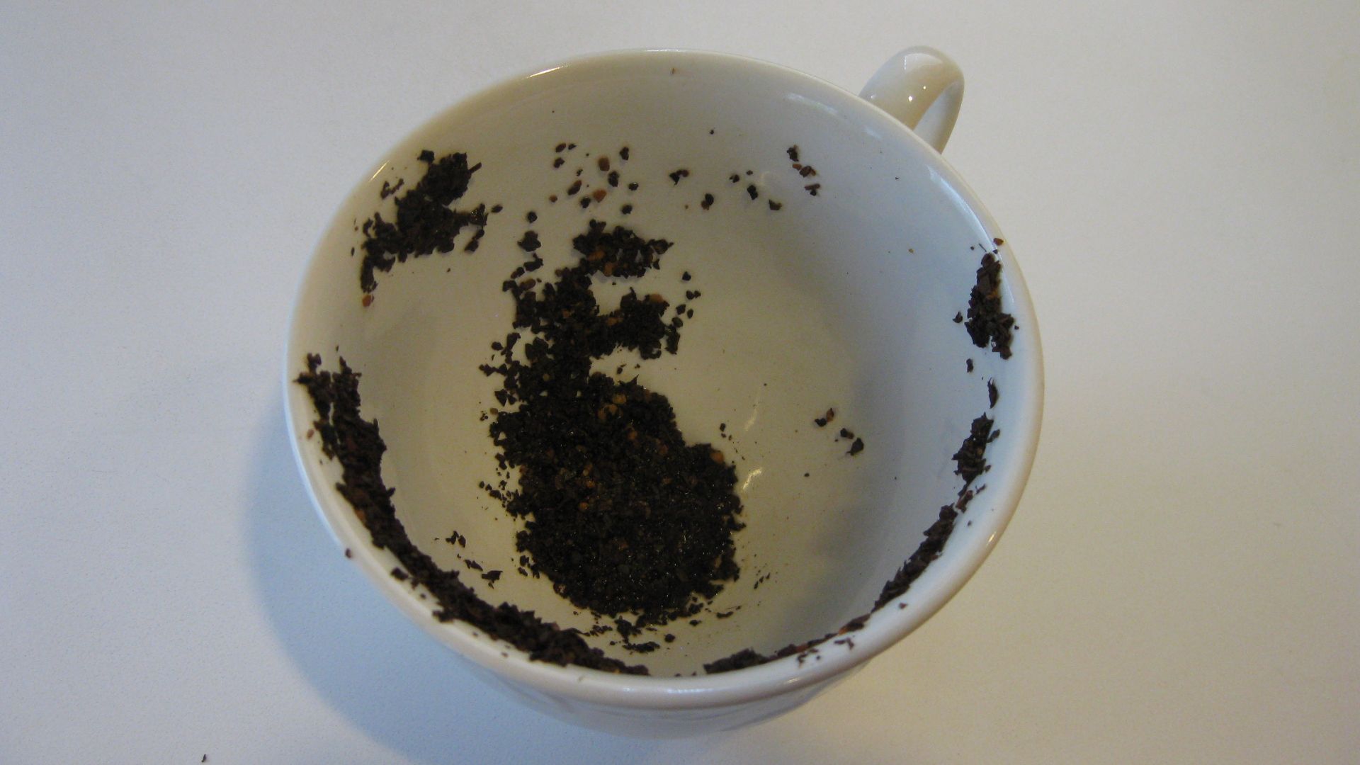 Tea leaf reading showing a dog and a flying bird