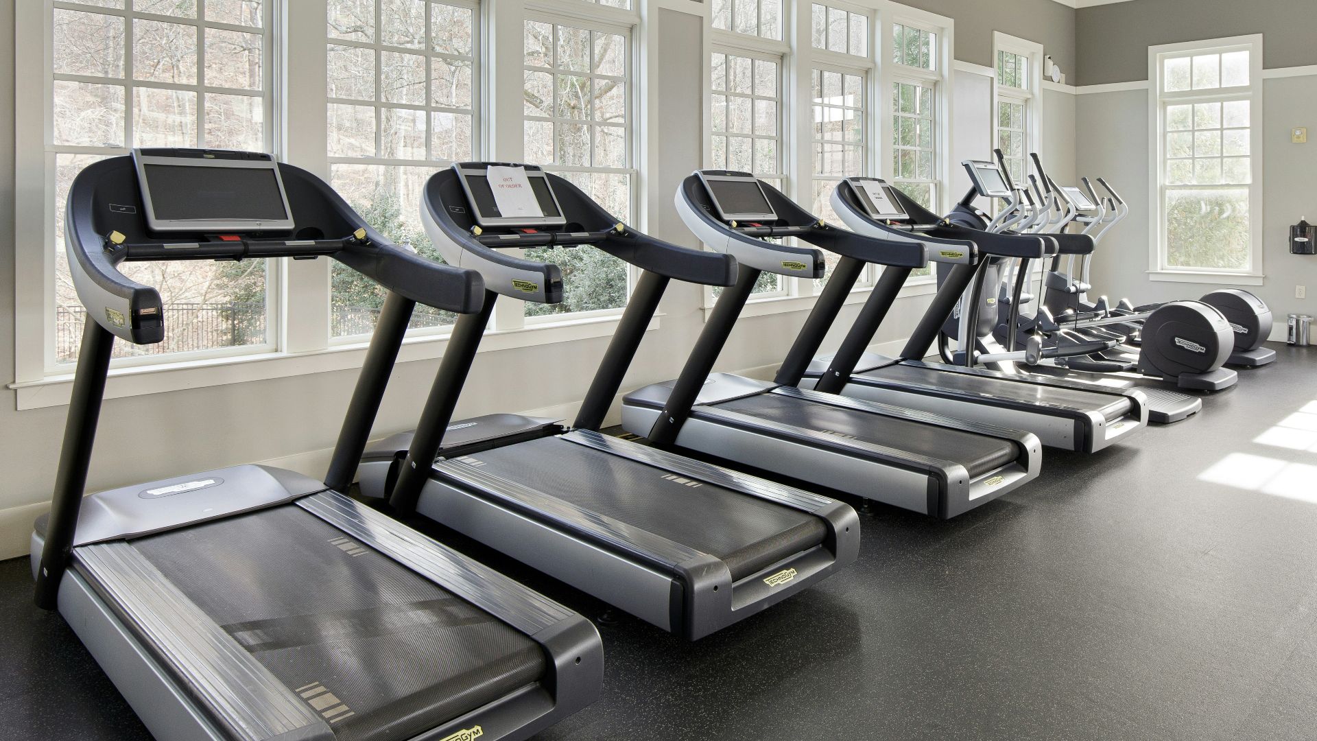 A row of treadmills in a gym with windows