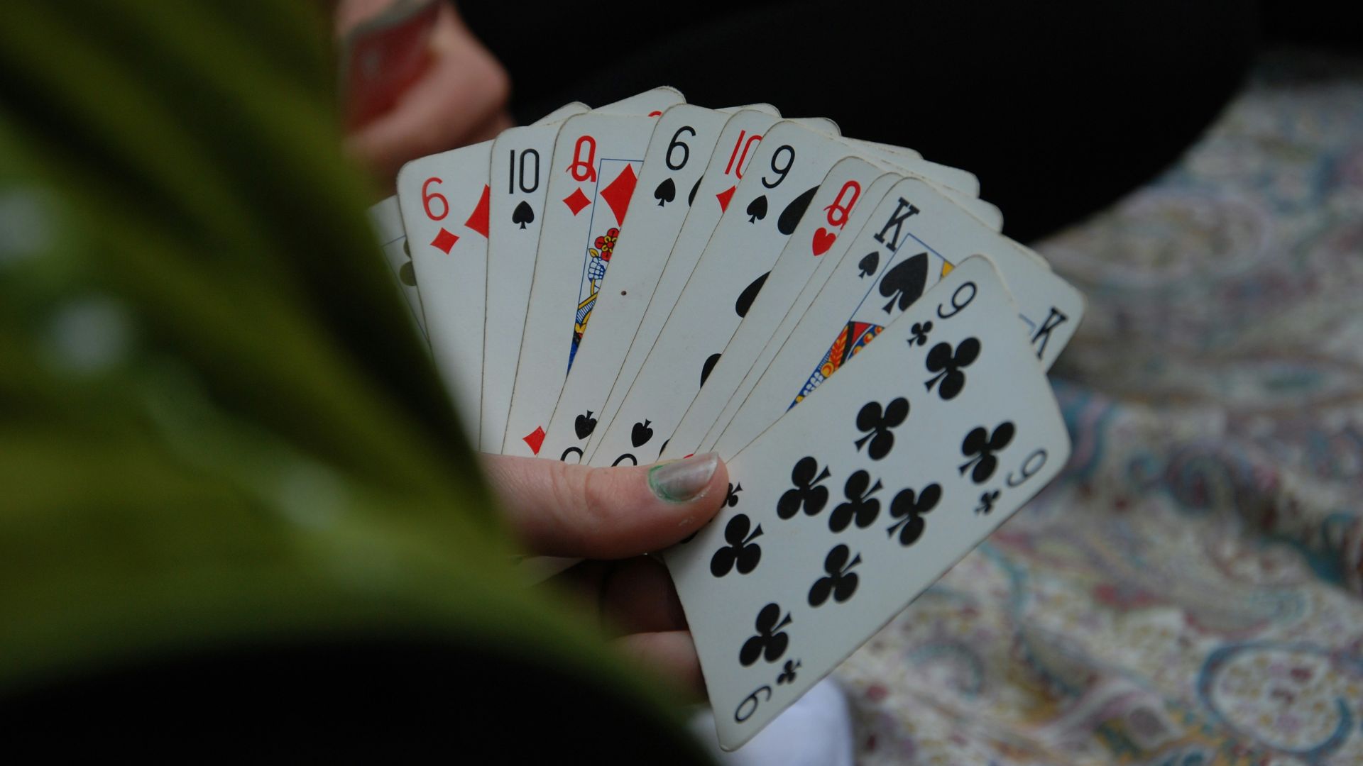 person holding fan of playing cards