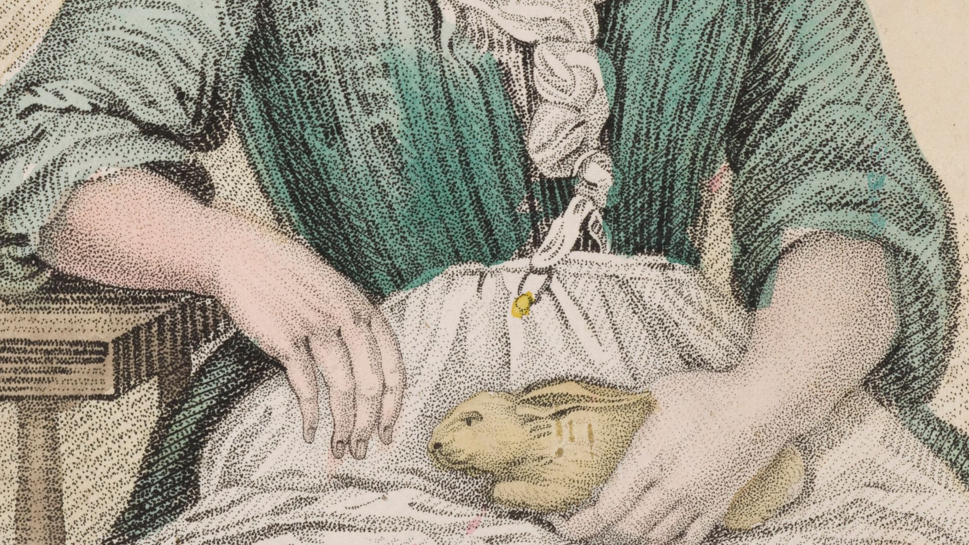 Mary Tofts, a woman who pretended that she had given birth to rabbits. Coloured stipple engraving by Maddocks.
Iconographic Collections
Keywords: Maddocks.; Mary Toft