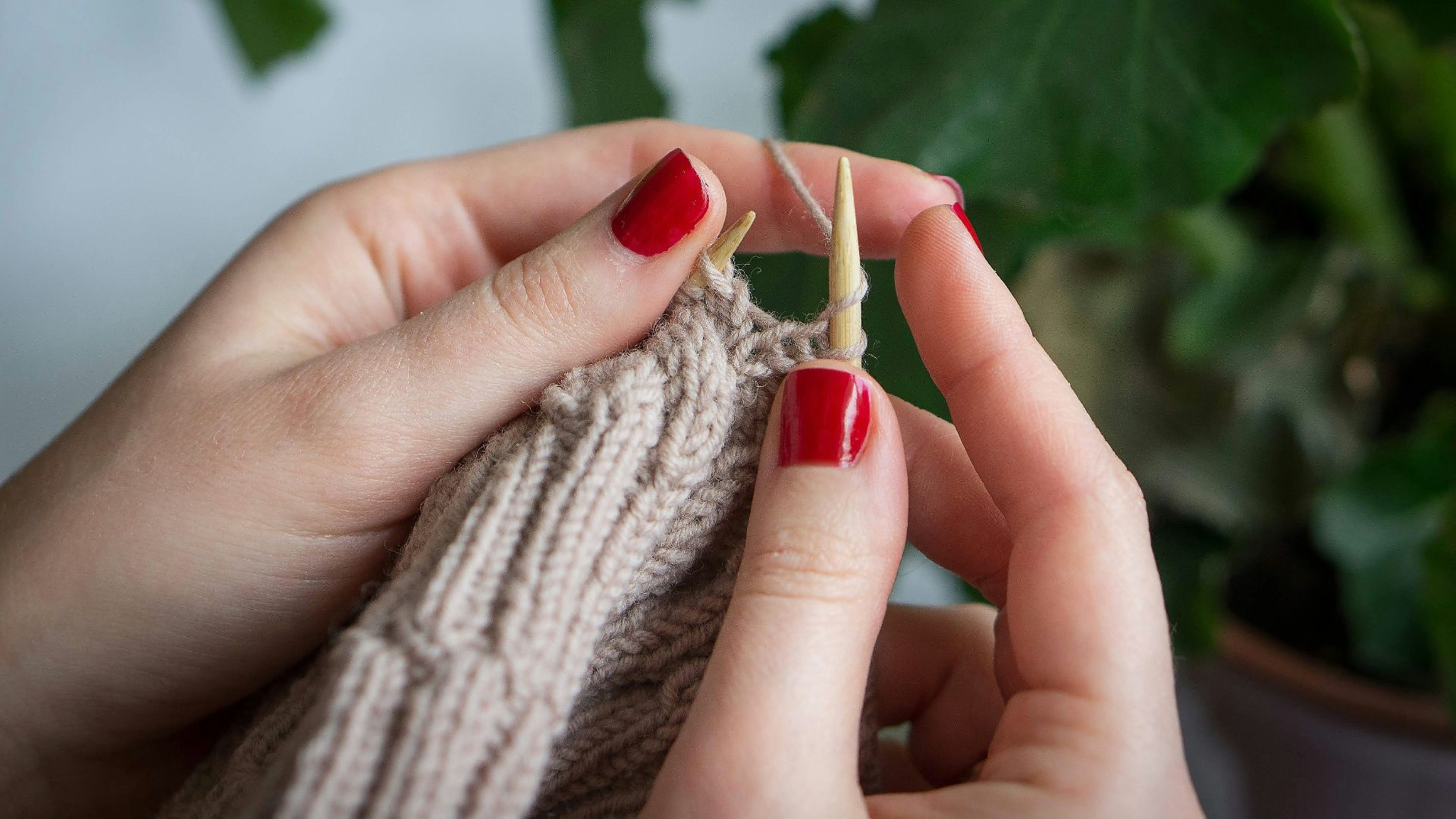 person holding green leaf during daytime