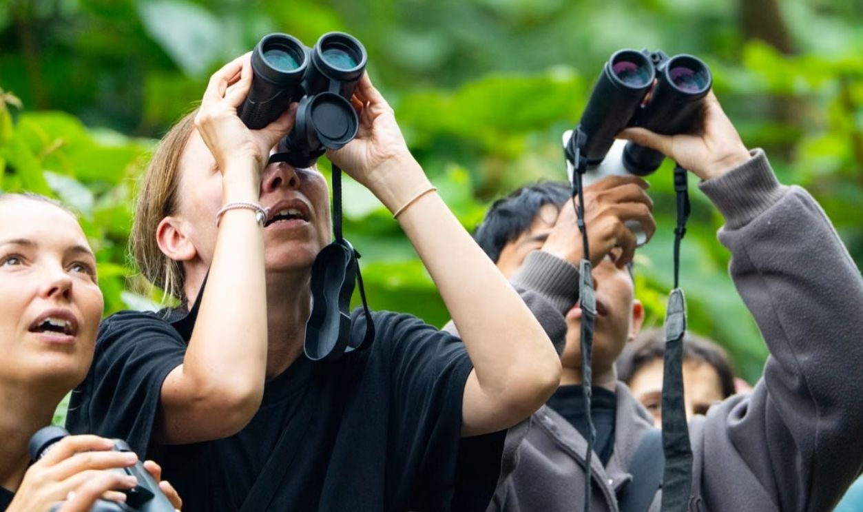 Group of birdwatchers using binoculars in a vibrant green forest setting
