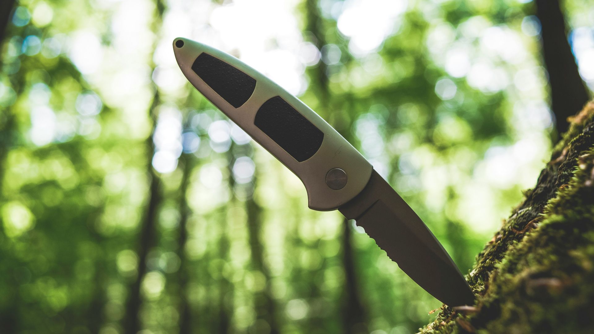 white and black thermometer in tilt shift lens