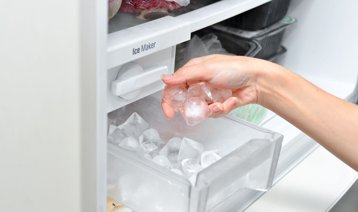 Shutterstock - 1778272478 - Woman with ice cubes from the freezer. An ice maker in a household refrigerator.