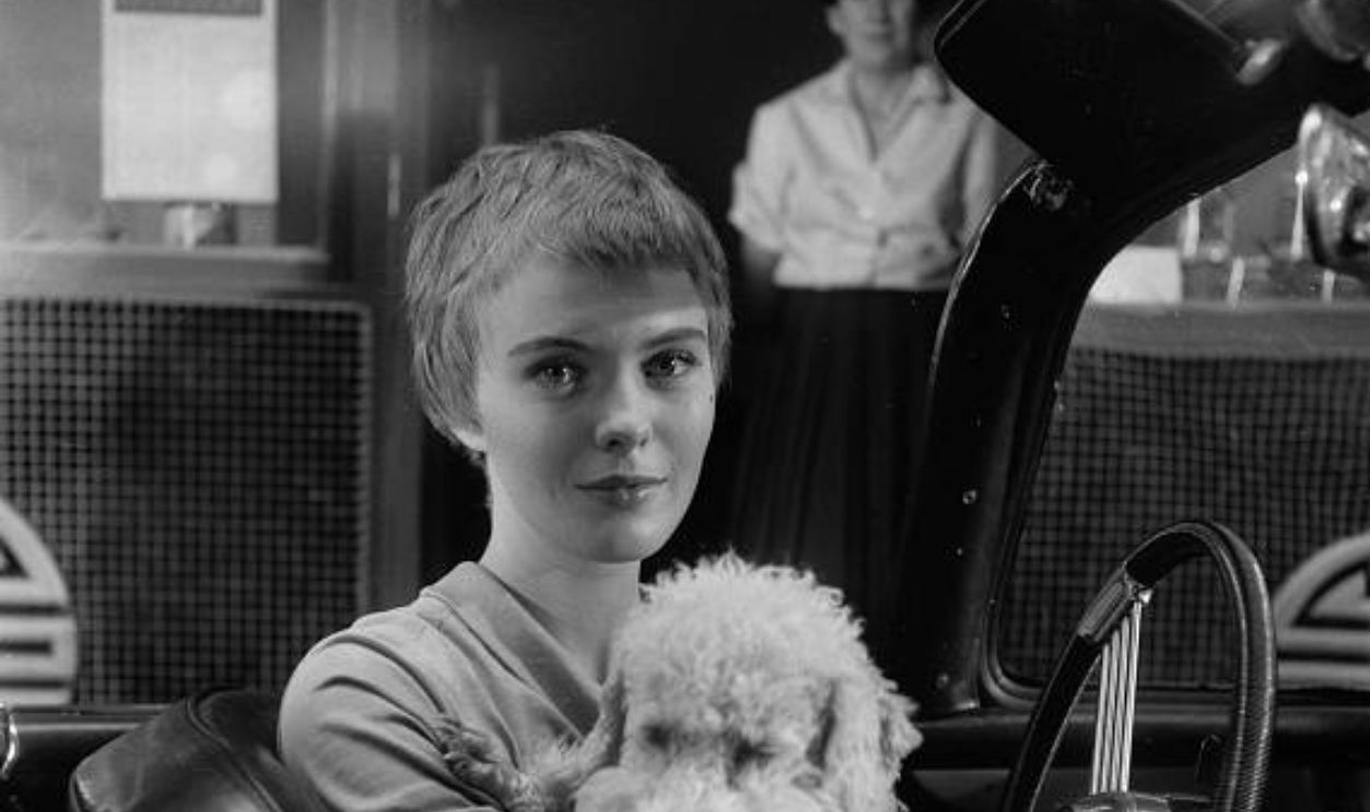 Jean Seberg au volant de sa voiture avec son chien dans une scène du film 'Bonjour Tristesse', à Paris, France le 1er août 1957.