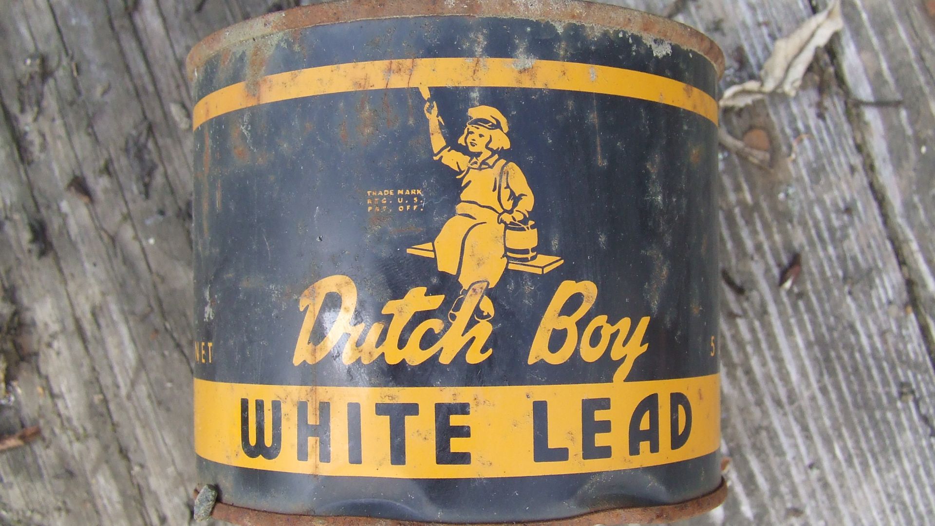 Dutch Boy Paint logo (front)