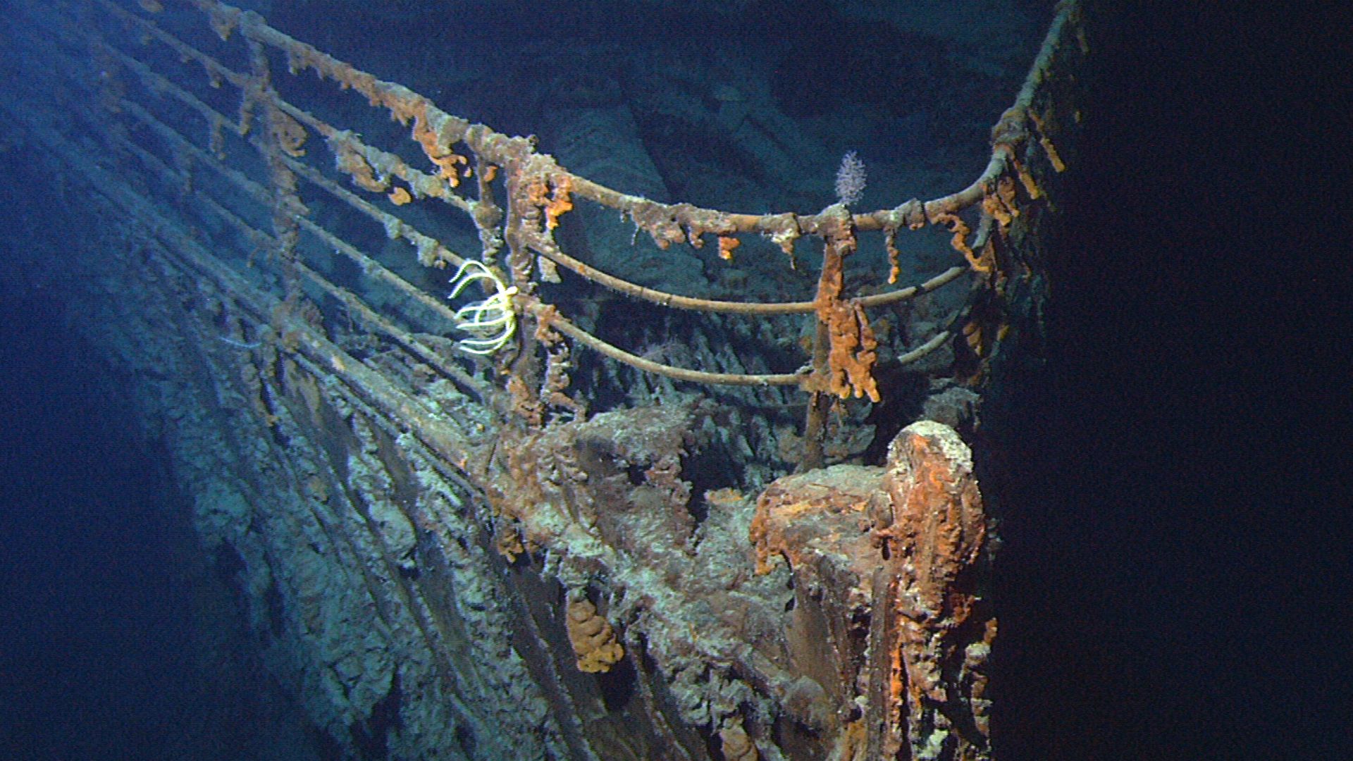 View of the bow of the RMS Titanic photographed in June 2004 by the ROV Hercules during an expedition returning to the shipwreck of the Titanic.