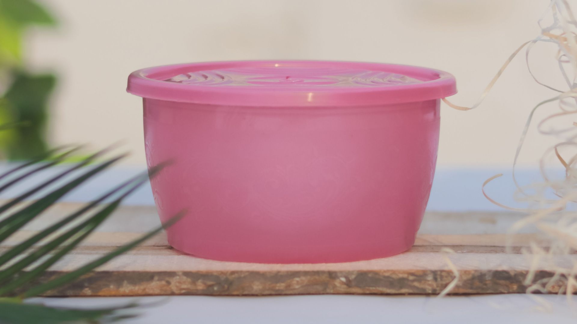 A pink plastic container with a lid placed on a wooden surface, surrounded by greenery.