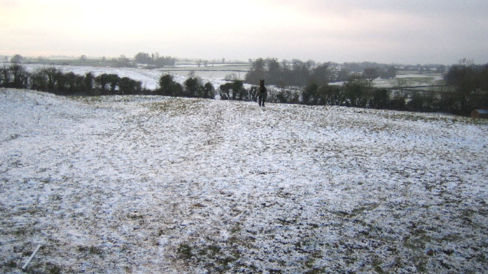 Wing: Buckinghamshire countryside in the winter. Viewed looking westwards from the stile on the footpath leading from Wing Church, with a light dusting of snow on the ground. The horse in the centre of the photo was interested, but not that interested!