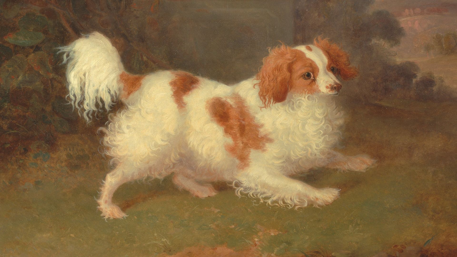 File:William Webb - A Blenheim Spaniel - Google Art Project.jpg