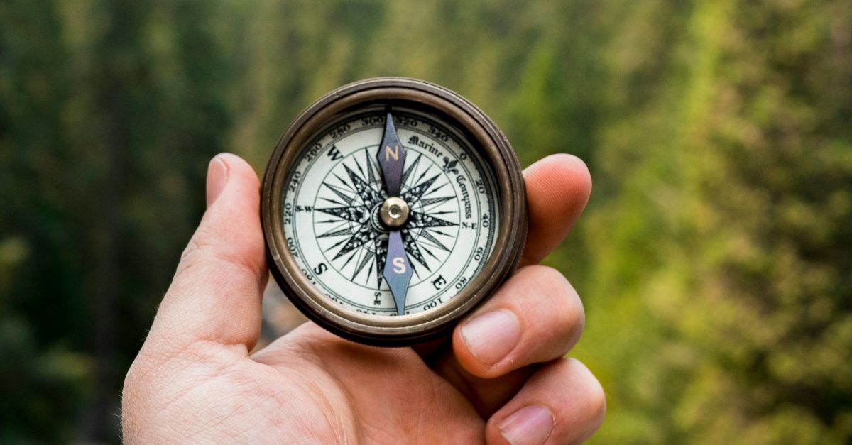 person holding compass facing towards green pine trees