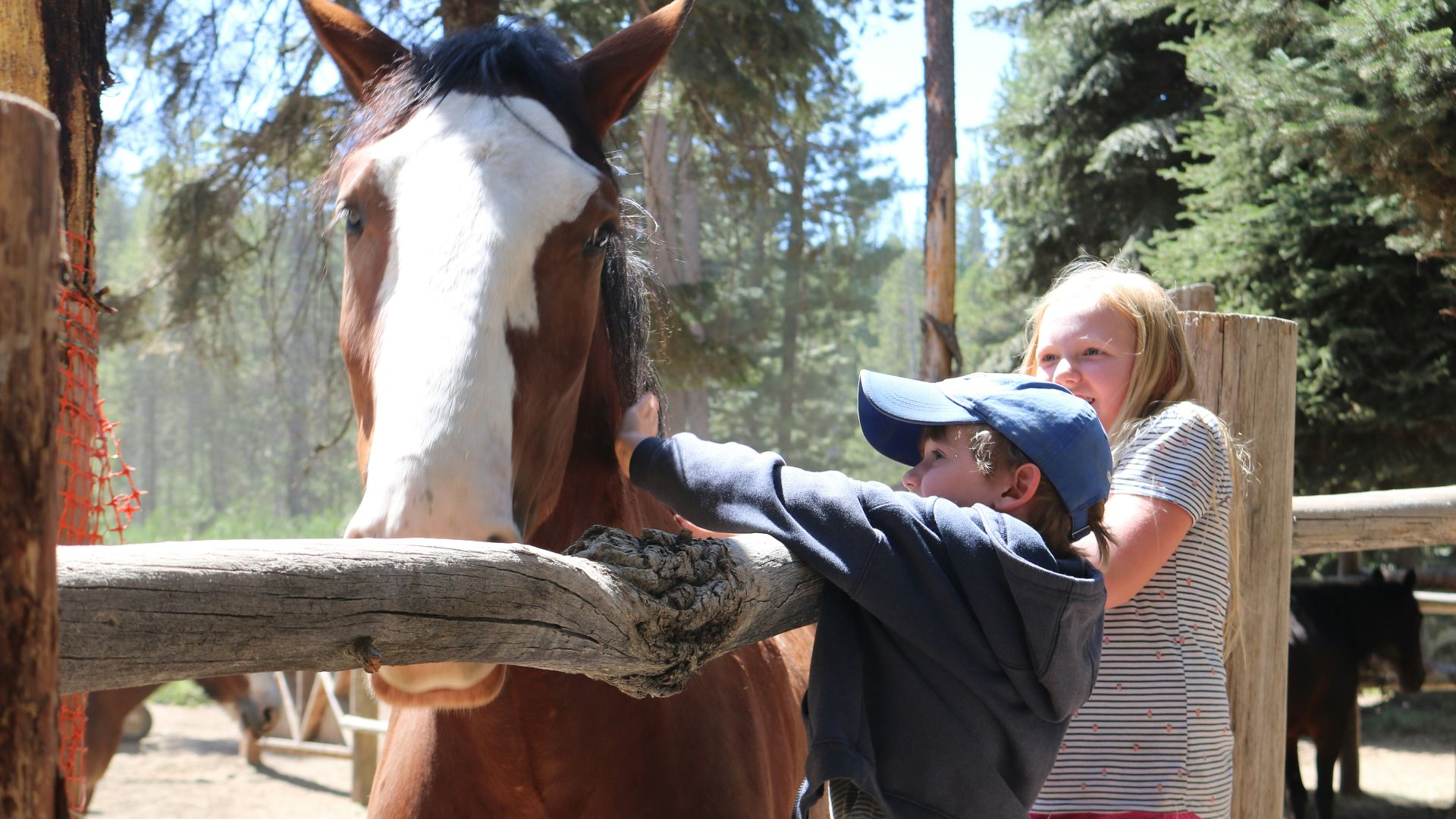 man in gray t-shirt and blue shorts standing beside brown horse during daytime