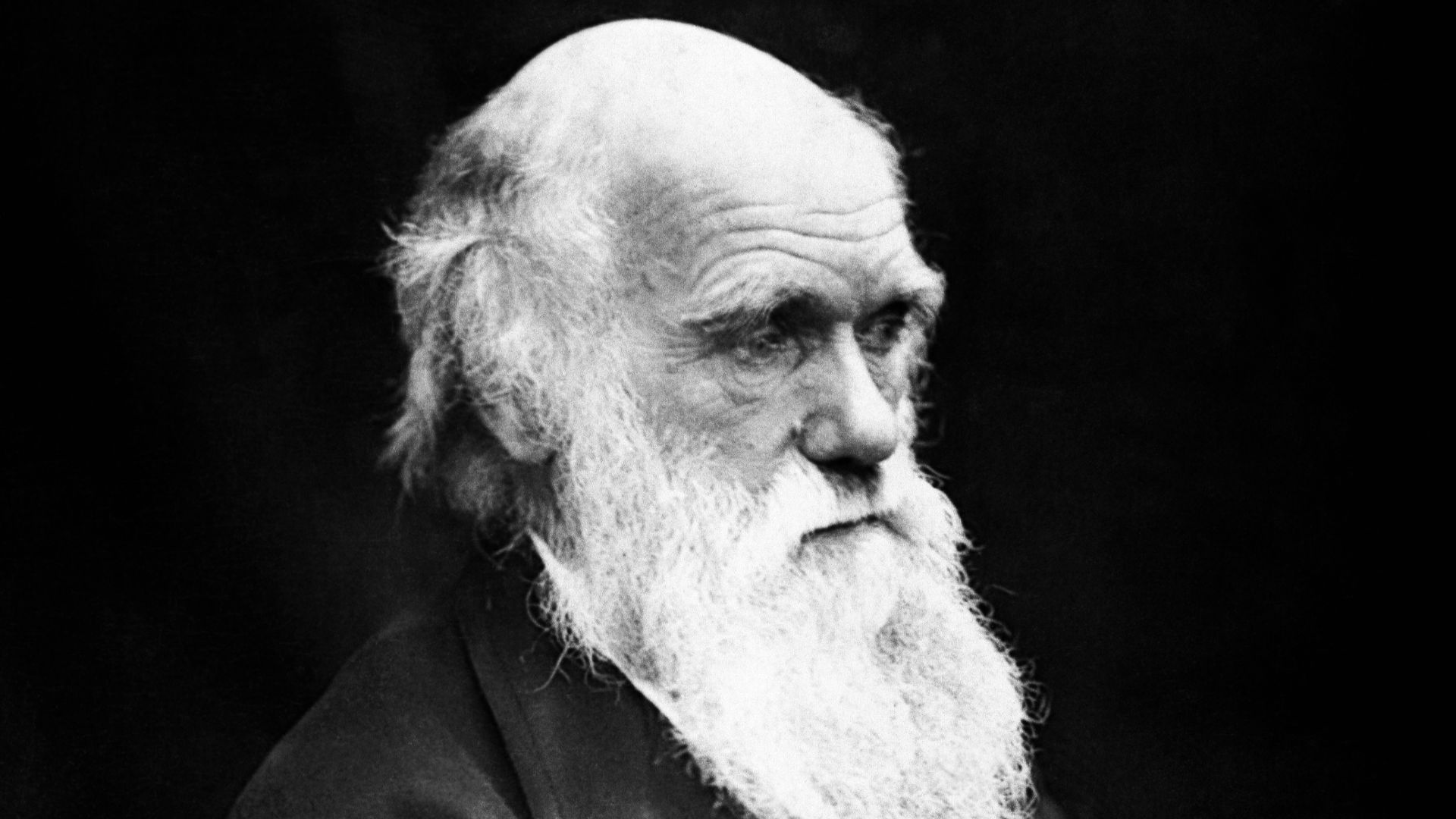 Charles Darwin (1809–1882) in his later years. This image is the correct orientation. Darwin's mole was on the right side of his nose.
