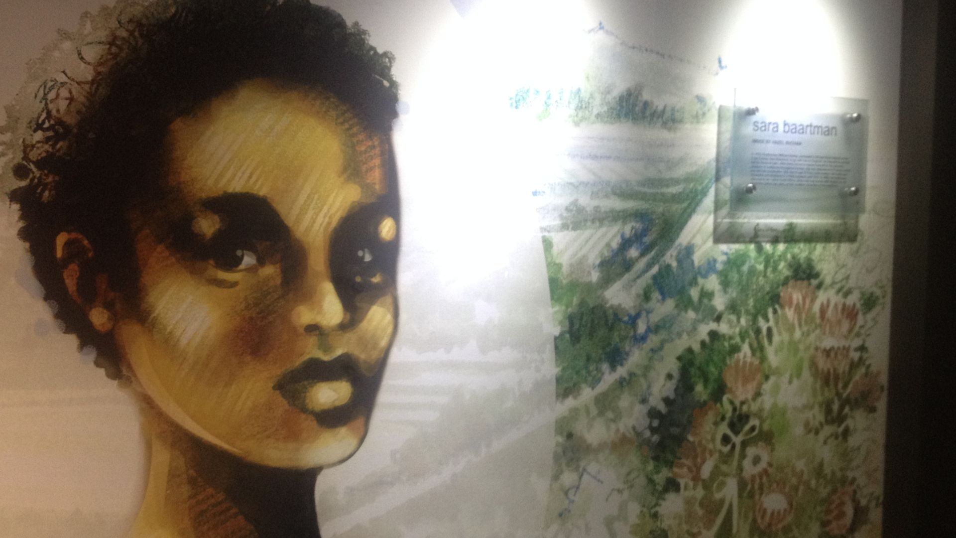 Painting of  Sara Baartman hanging at the Origins center