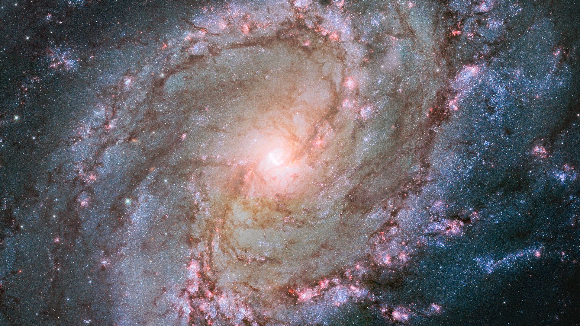 This new Hubble image shows the scatterings of bright stars and thick dust that make up spiral galaxy Messier 83, otherwise known as the Southern Pinwheel Galaxy. One of the largest and closest barred spirals to us, this galaxy is dramatic and mysterious;