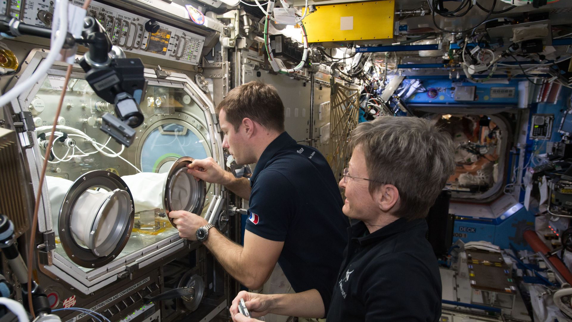 NASA astronaut Peggy Whitson (right) and ESA (European Space Agency) astronaut Thomas Pesquet setup the Microgravity Science Glovebox (MSG) for the Microgravity Expanded Stem Cells (MESC) experiment. MESC cultivates human stem cells aboard the Internation