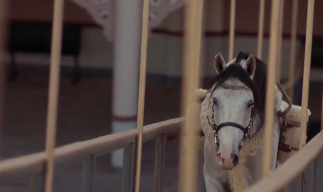 Screenshot from Wild Heats Can’t Be Broken (1991)