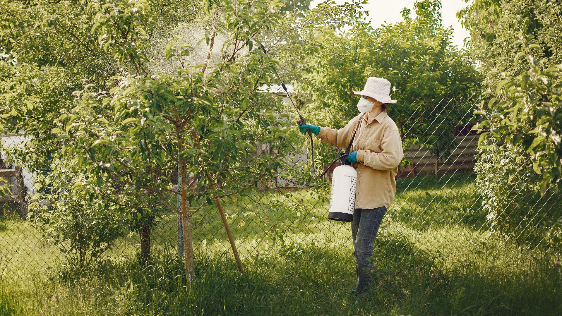 Woman in protective gear spraying pesticides on garden trees with a spray bottle.