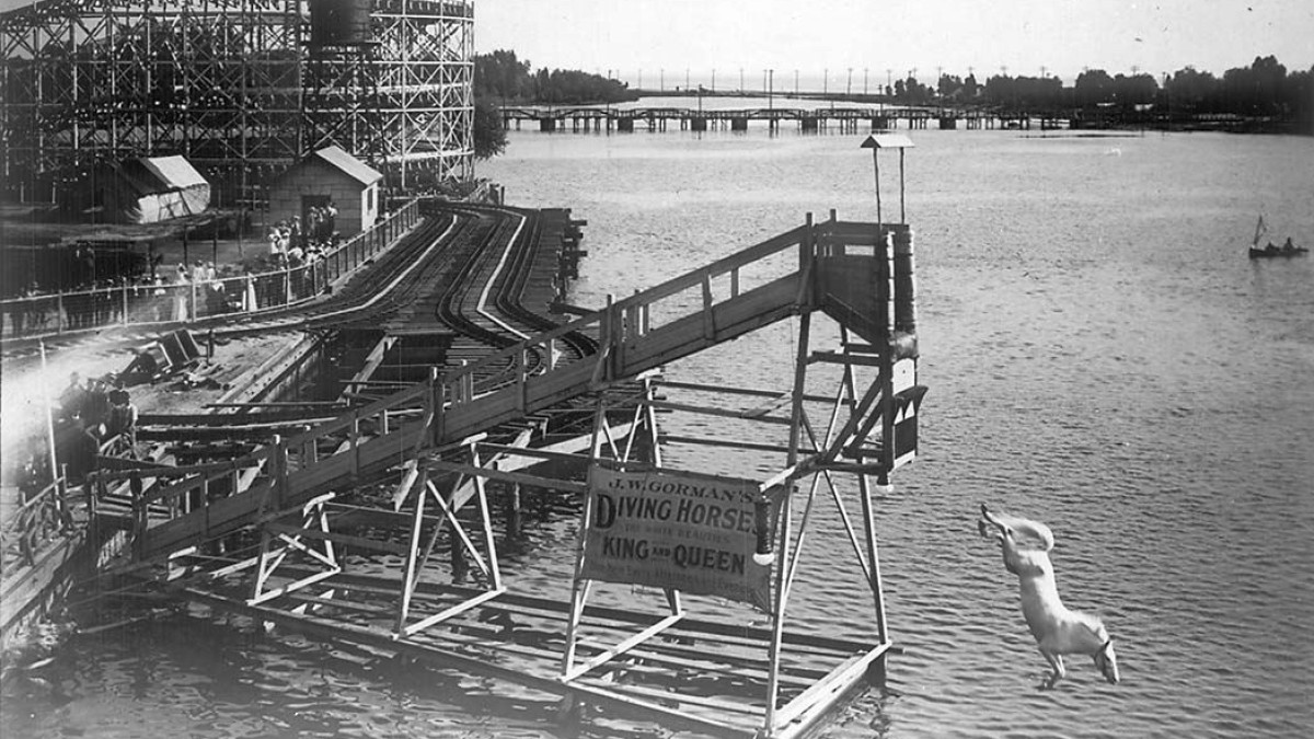 The diving horse at the Hanlan's Point Amusement Park, Toronto, Canada.