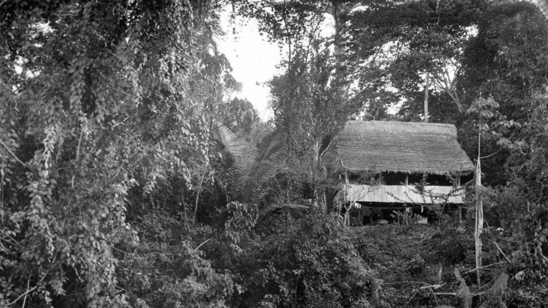 The biological research station Panguana (Peru) in the Year 1971.