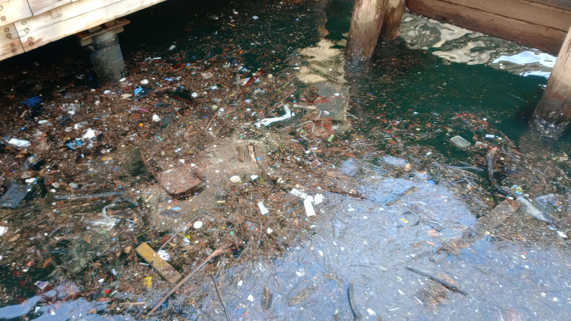A photo depicting water pollution in Circular Quay, Australia. They consist of trash floating near the ferry wharves.