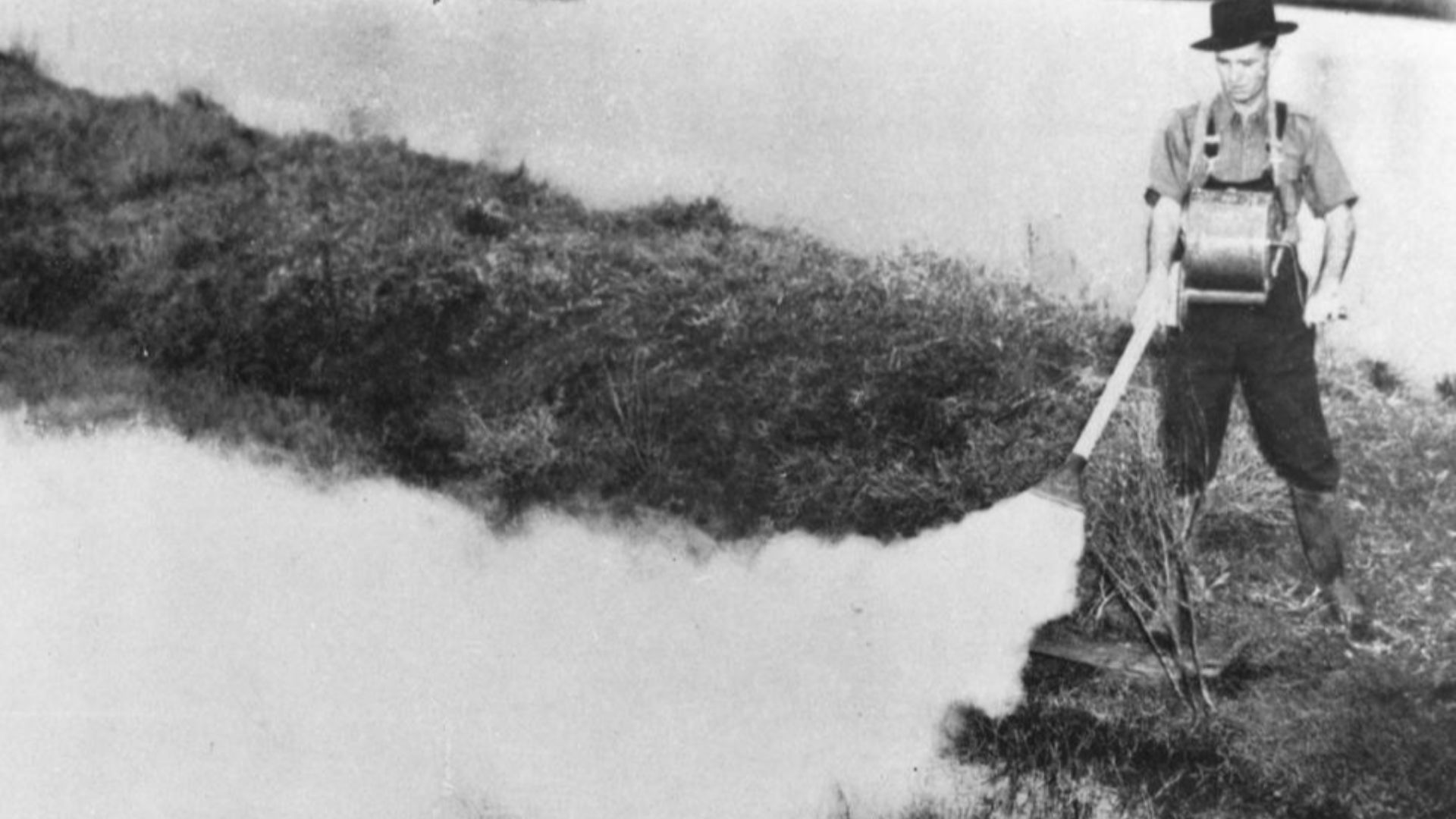 Council worker spraying for mosquitos, Brisbane, 1949
Dusting DDT (Dichloro-Diphenyl-Trichloroethane) on mosquito breeding water by using a hand operated machine. (Description supplied with photograph).