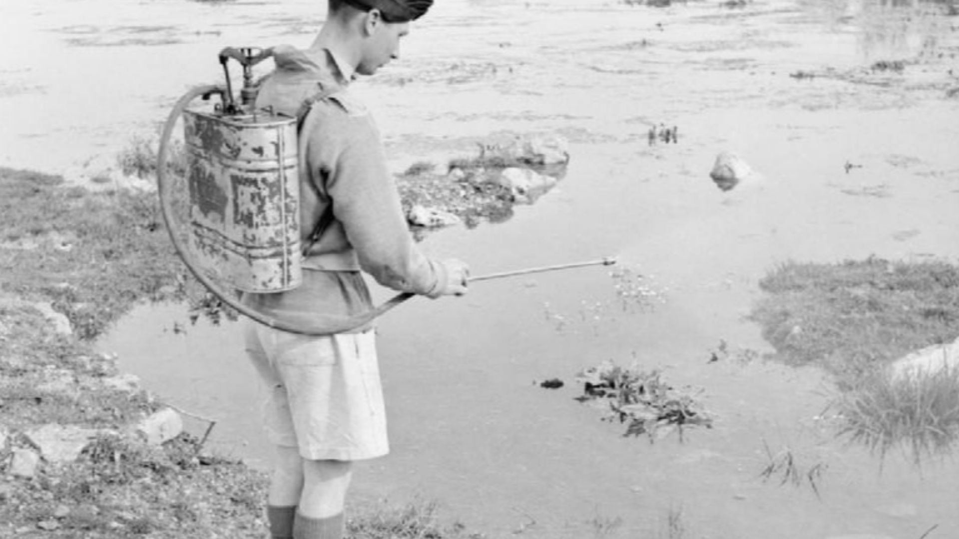 The British Army in the Middle East 1942
A stagnant pool being sprayed with Paris Green to kill the larvae and pupae of mosquitos in an effort to prevent Malaria being contracted in Syria, 11 May 1942.