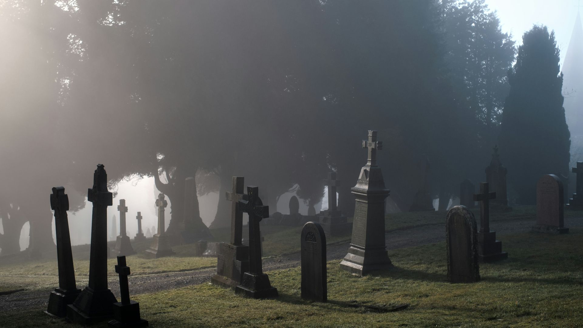 a foggy graveyard with tombstones in the foreground