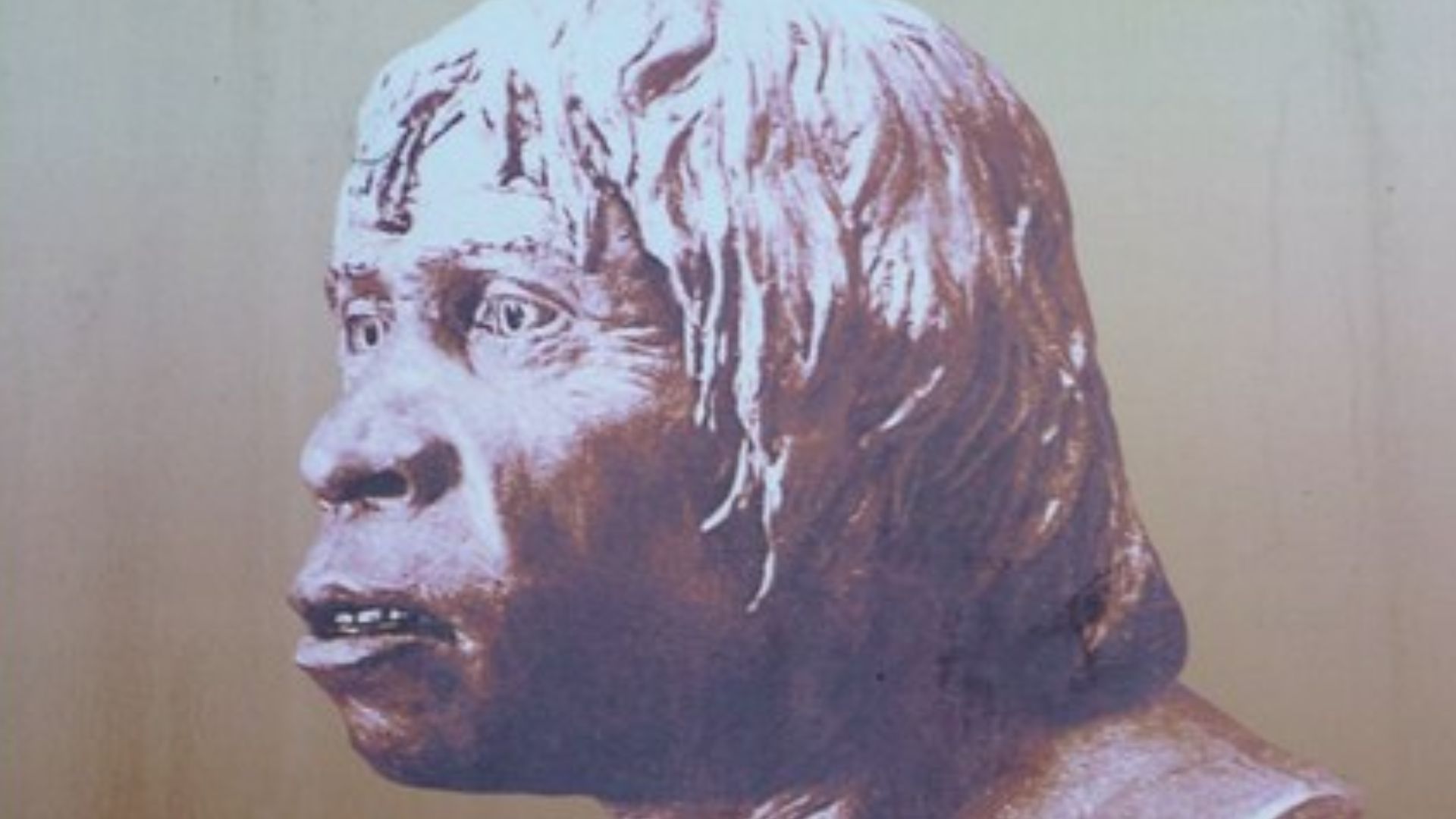 Sign for the Piltdown Man, Newick It was lauded as the missing link to finally prove evolution as factual. Within years, though, it would be recognised for what it was - the most outrageous scientific hoax ever perpetuated.