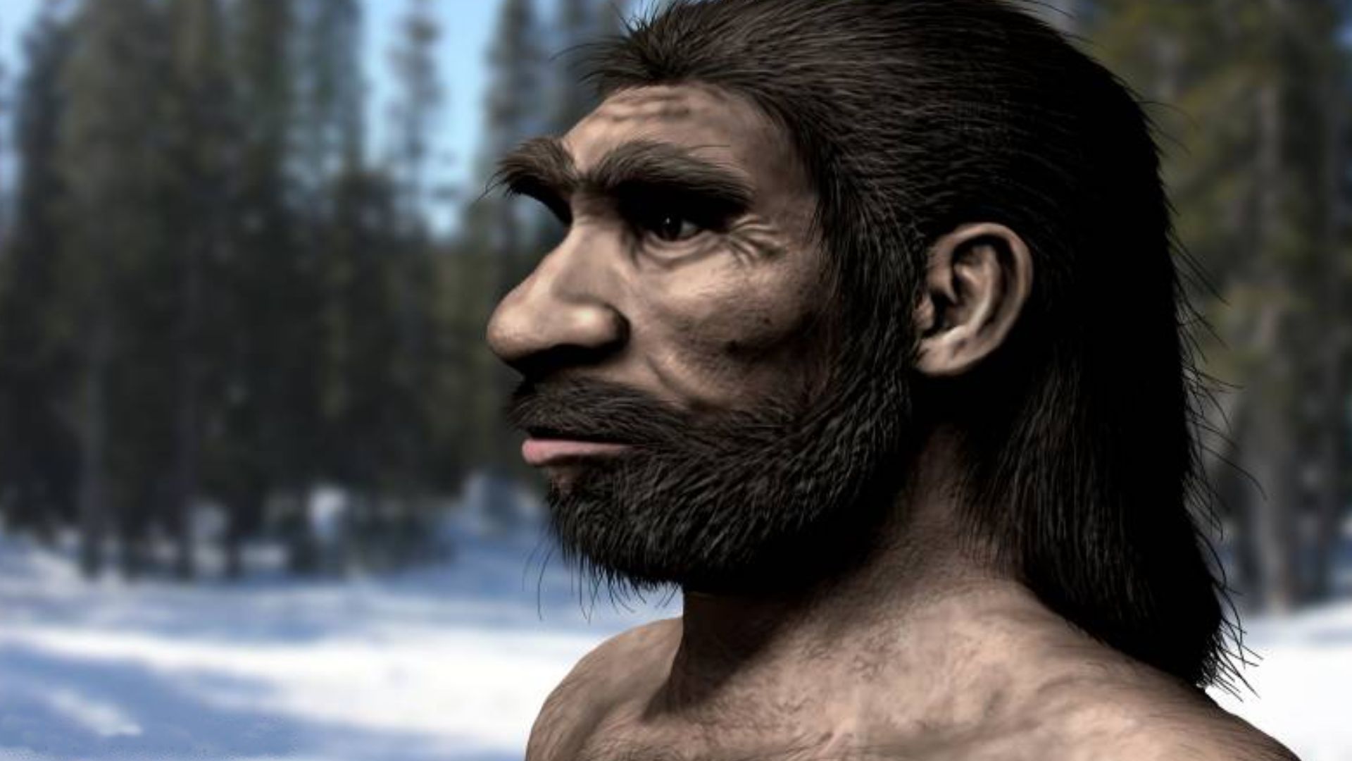 Life restoration of Homo longi