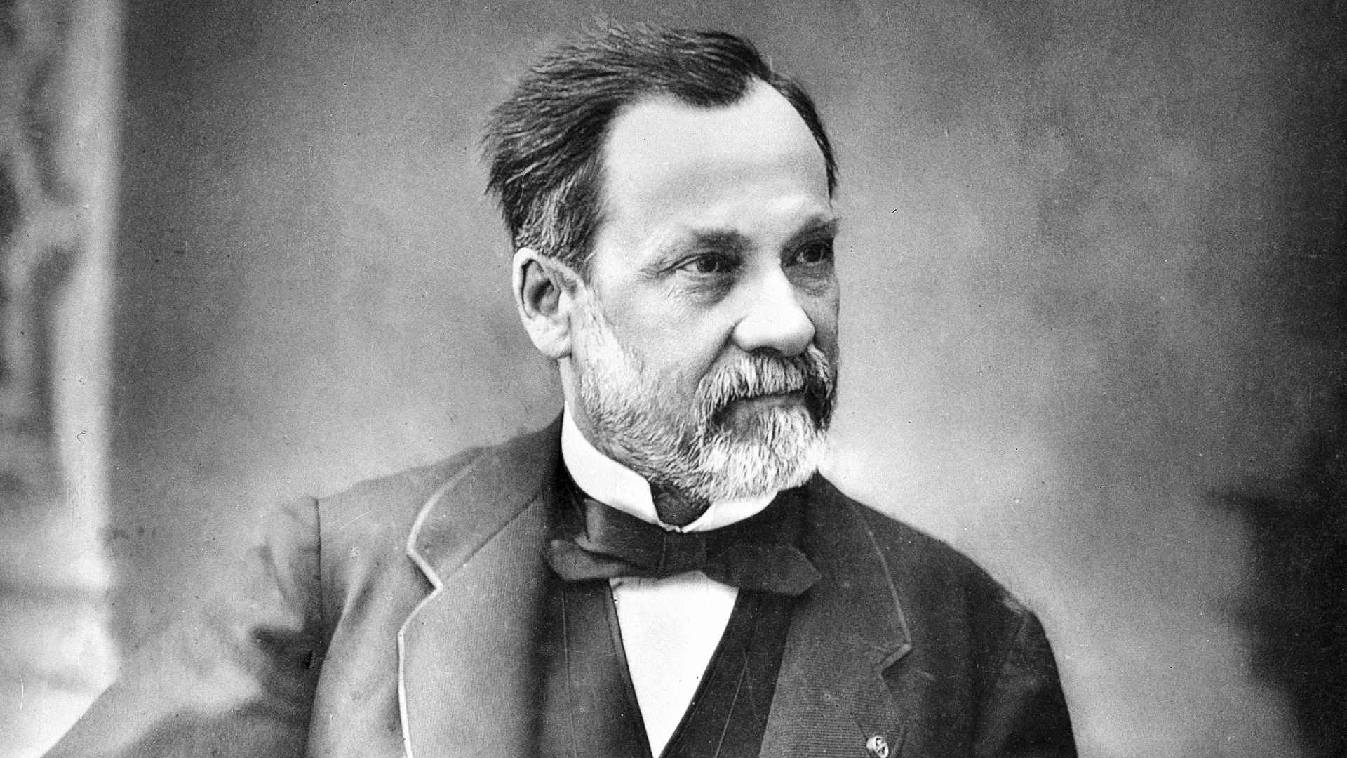 Portrait of Louis Pasteur [1822 - 1895], French microbiologist and chemist

Iconographic Collections
Keywords: Louis Pasteur; E. Pirou
