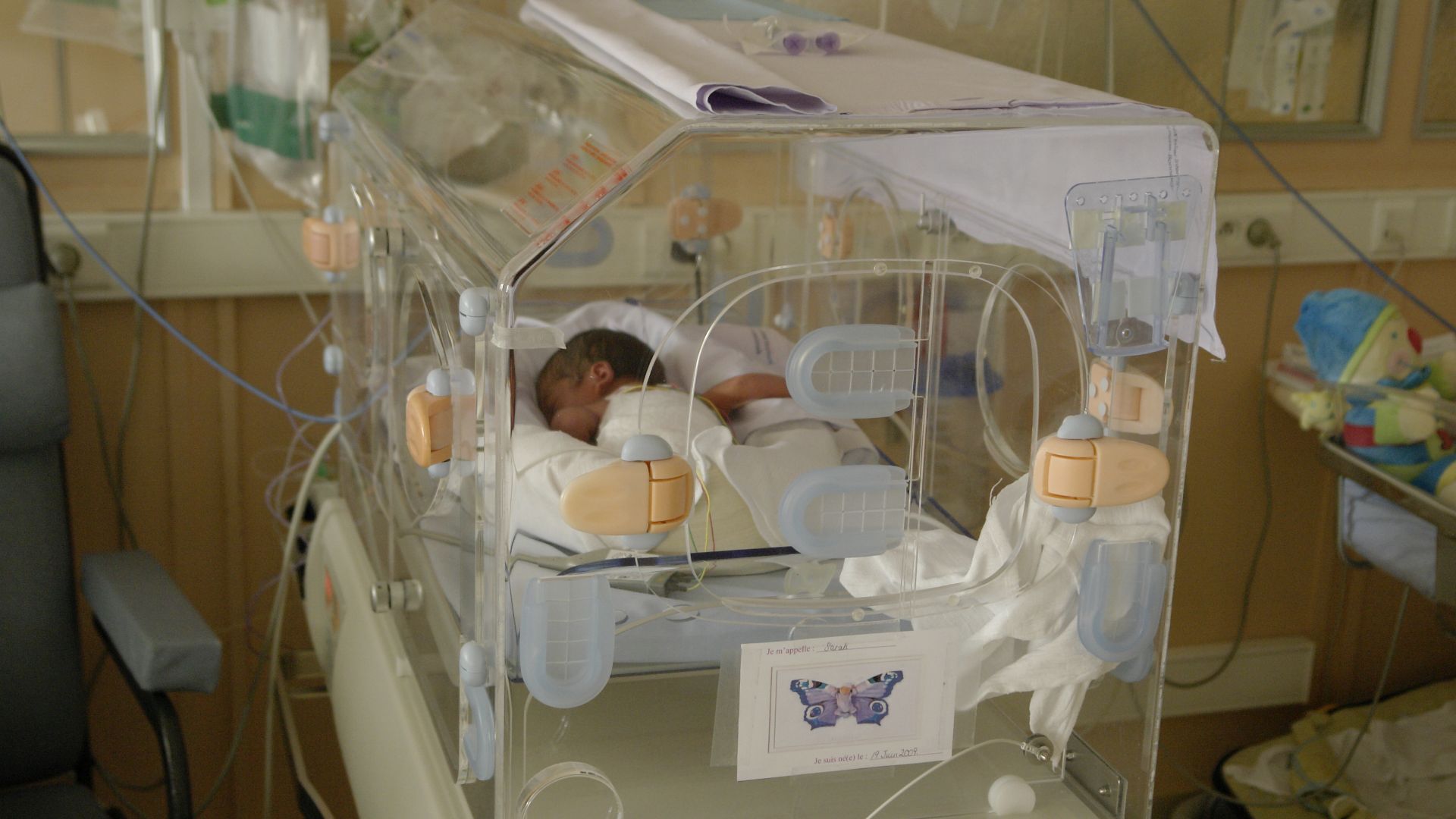 Incubator for premature, in an hopital of Annemasse (Haute-Savoie, Rhône-Alpes, France).