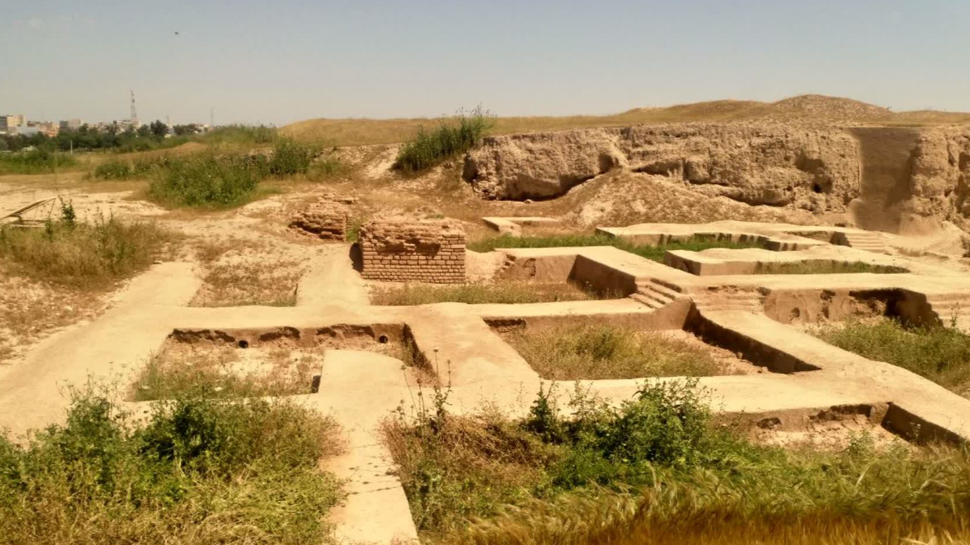 The Palace of Darius in Susa was a palace complex that was built at the site of Susa, Iran, during the reign of Darius I over the Achaemenid Empire. The construction was conducted parallel to that of Persepolis. Manpower and raw materials from various par