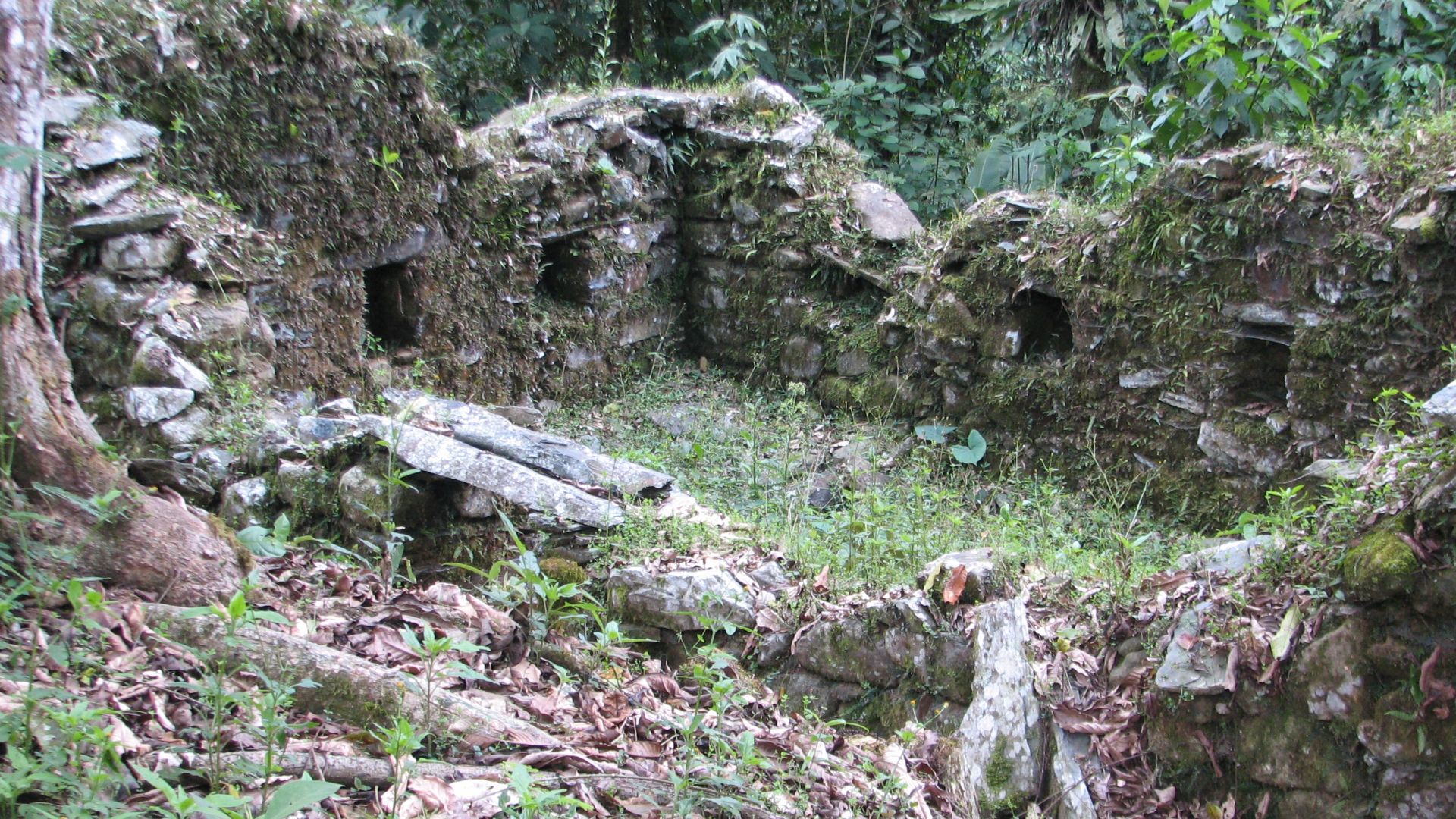 Espiritu Pampa Archaeological site (overgrown house)