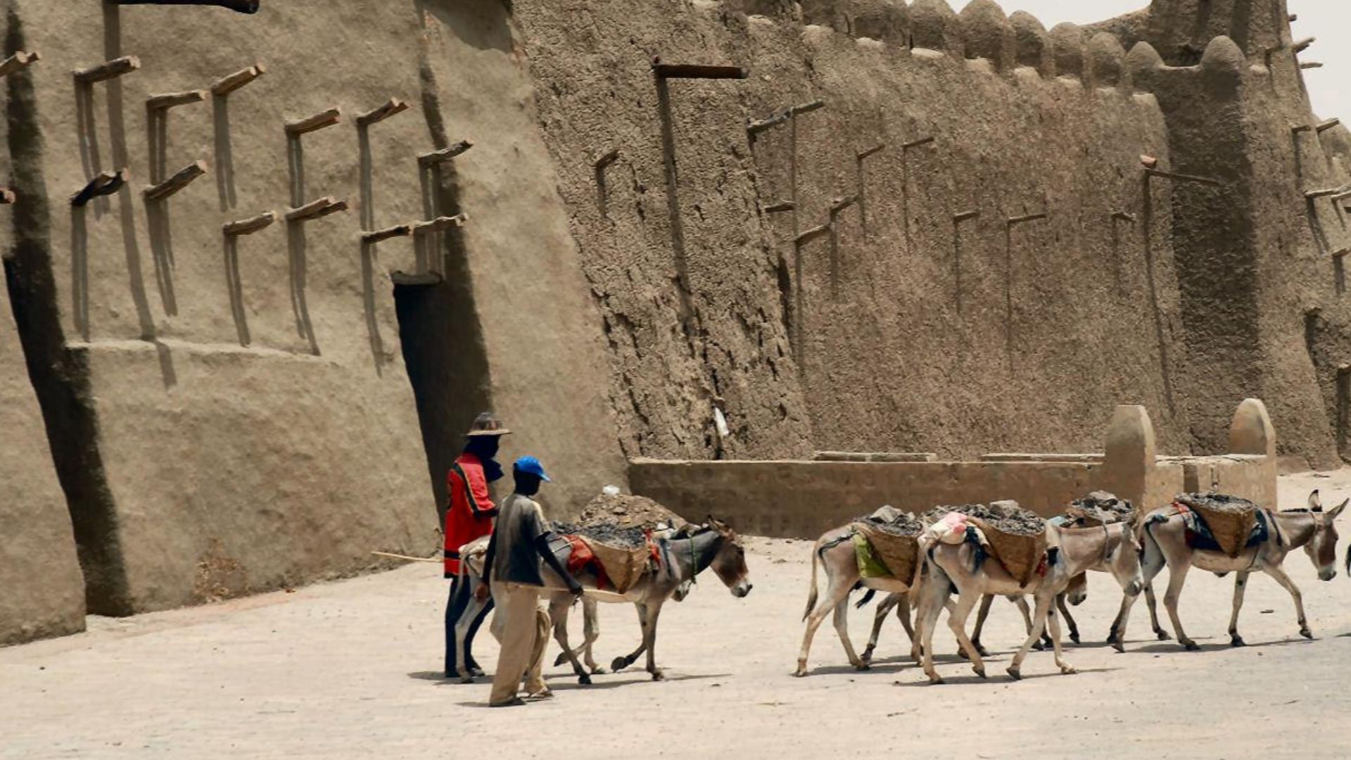 Timbuktu, preferred method of transport, Mali, W. Africa, The team of donkeys walks past the mud mosque laden with their heavy items of transport. The mud wall's protruding wood beams and the relaxed gait of the animals and people add to the gentle scene.