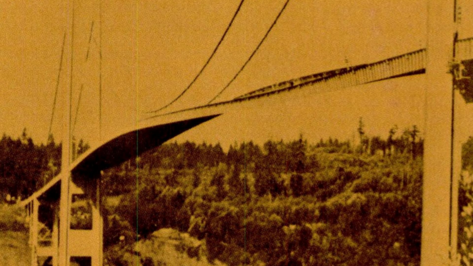 The Tacoma Narrows Bridge, shouting oscillation 1 hour before its collapse.