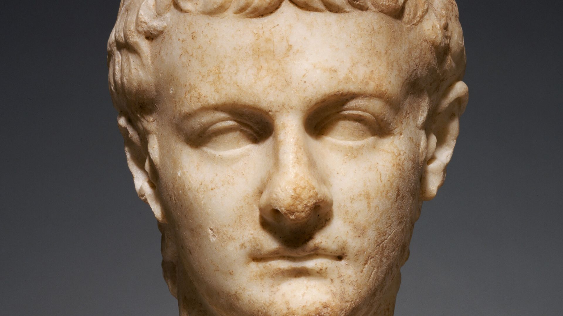 Portrait Head of Caligula
