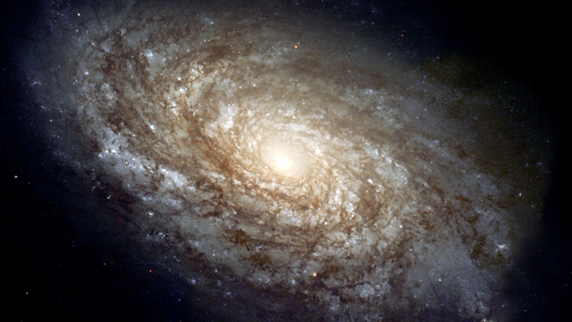 In 1995, the majestic spiral galaxy NGC 4414 was imaged by the Hubble Space Telescope as part of the HST Key Project on the Extragalactic Distance Scale. An international team of astronomers, led by Dr. Wendy Freedman of the Observatories of the Carnegie 